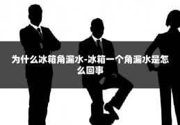 为什么冰箱角漏水-冰箱一个角漏水是怎么回事
