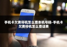 手机卡欠费停机怎么查本机号码-手机卡欠费停机怎么查话费