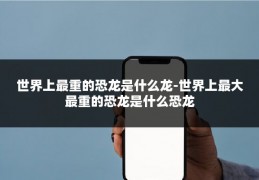 世界上最重的恐龙是什么龙-世界上最大最重的恐龙是什么恐龙