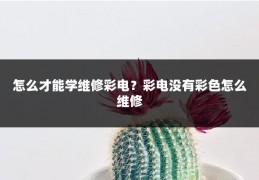 怎么才能学维修彩电？彩电没有彩色怎么维修