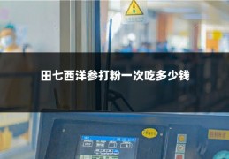 田七西洋参打粉一次吃多少钱