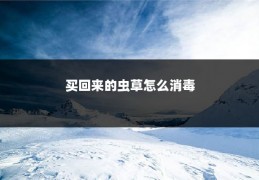 买回来的虫草怎么消毒