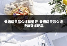 天猫精灵怎么连接蓝牙-天猫精灵怎么连接蓝牙适配器