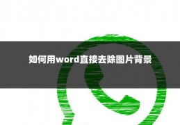 如何用word直接去除图片背景