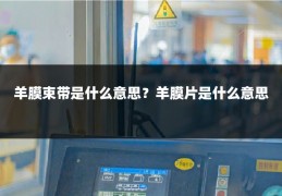 羊膜束带是什么意思?羊膜片是什么意思