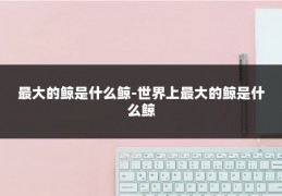 最大的鲸是什么鲸-世界上最大的鲸是什么鲸