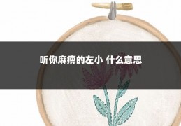 听你麻痹的左小 什么意思