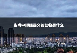 生肖中睡眠最久的动物是什么
