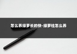 怎么养绿萝长的快-绿萝柱怎么养