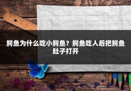 鳄鱼为什么吃小鳄鱼？鳄鱼吃人后把鳄鱼肚子打开