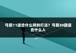 弓箭11适合什么样的打法？弓箭30磅适合什么人