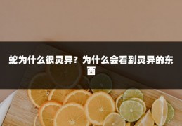 蛇为什么很灵异?为什么会看到灵异的东西