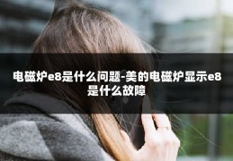 电磁炉e8是什么问题-美的电磁炉显示e8是什么故障