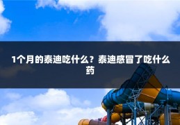 1个月的泰迪吃什么?泰迪感冒了吃什么药