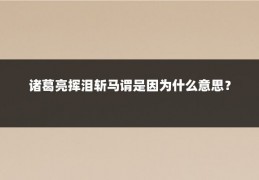 诸葛亮挥泪斩马谓是因为什么意思？