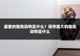 最重的陆地动物是什么？现存最大的陆地动物是什么