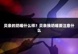 贝亲的奶嘴什么样？贝亲换奶嘴要注意什么