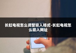 长虹电视怎么调整输入格式-长虹电视怎么输入网址