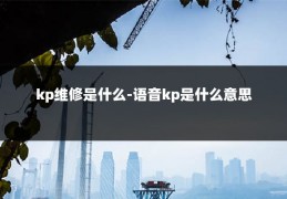 kp维修是什么-语音kp是什么意思