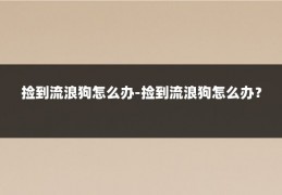 捡到流浪狗怎么办-捡到流浪狗怎么办?