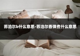 苏泊尔b什么意思-苏泊尔香弹煮什么意思