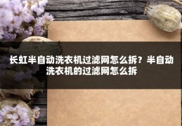 长虹半自动洗衣机过滤网怎么拆?半自动洗衣机的过滤网怎么拆