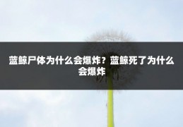 蓝鲸尸体为什么会爆炸?蓝鲸死了为什么会爆炸