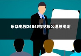 乐华电视25B5l电视怎么进总线啊