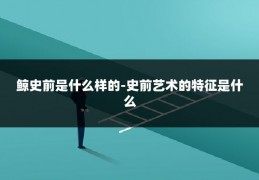 鲸史前是什么样的-史前艺术的特征是什么