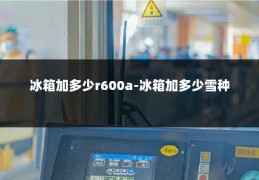 冰箱加多少r600a-冰箱加多少雪种