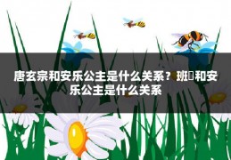 唐玄宗和安乐公主是什么关系？班婳和安乐公主是什么关系