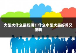 大型犬什么最聪明？什么小型犬最好养又聪明