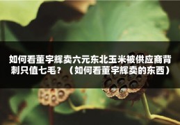 如何看董宇辉卖六元东北玉米被供应商背刺只值七毛？（如何看董宇辉卖的东西）