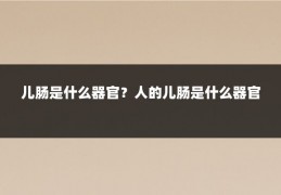 儿肠是什么器官?人的儿肠是什么器官