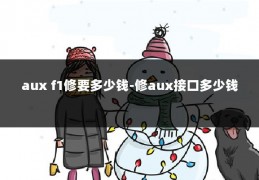 aux f1修要多少钱-修aux接口多少钱