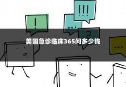 美国急诊临床365问多少钱