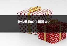 什么动物的生殖器大？