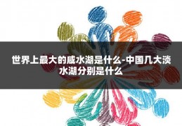 世界上最大的咸水湖是什么-中国几大淡水湖分别是什么