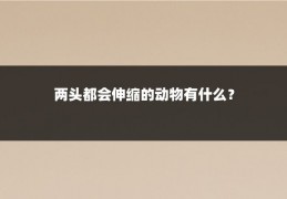 两头都会伸缩的动物有什么?