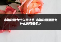 冰箱冷藏为什么用铝管-冰箱冷藏里面为什么总有很多水