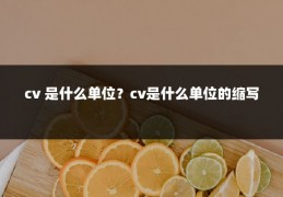 cv 是什么单位?cv是什么单位的缩写