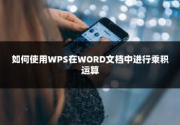 如何使用WPS在WORD文档中进行乘积运算