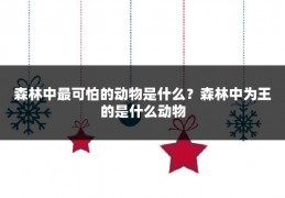 森林中最可怕的动物是什么?森林中为王的是什么动物