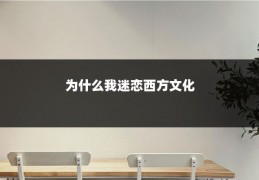 为什么我迷恋西方文化