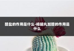 醋盐的作用是什么-樟脑丸加醋的作用是什么