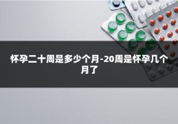 怀孕二十周是多少个月-20周是怀孕几个月了