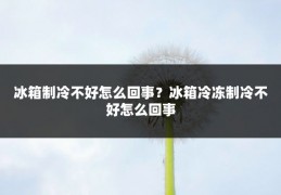 冰箱制冷不好怎么回事?冰箱冷冻制冷不好怎么回事