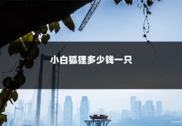 小白狐狸多少钱一只