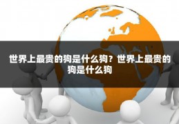 世界上最贵的狗是什么狗？世界上最贵的狗是什么狗