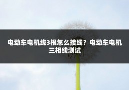 电动车电机线3根怎么接线?电动车电机三相线测试
